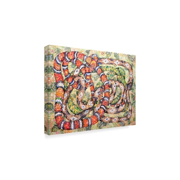 Charlsie Kelly 'Coral Snake Ouroboros' Canvas Art,24x32